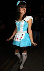 Sexy Alice In Wonderland Costume